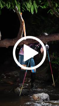 BIB:  <button type="button" onclick="openModal(27490883)" class="btn btn-primary btn-sm float-right" data-toggle="modal" data-target=".modal-high-quality">
                <i class="fa fa-download"></i> Download
                </button>